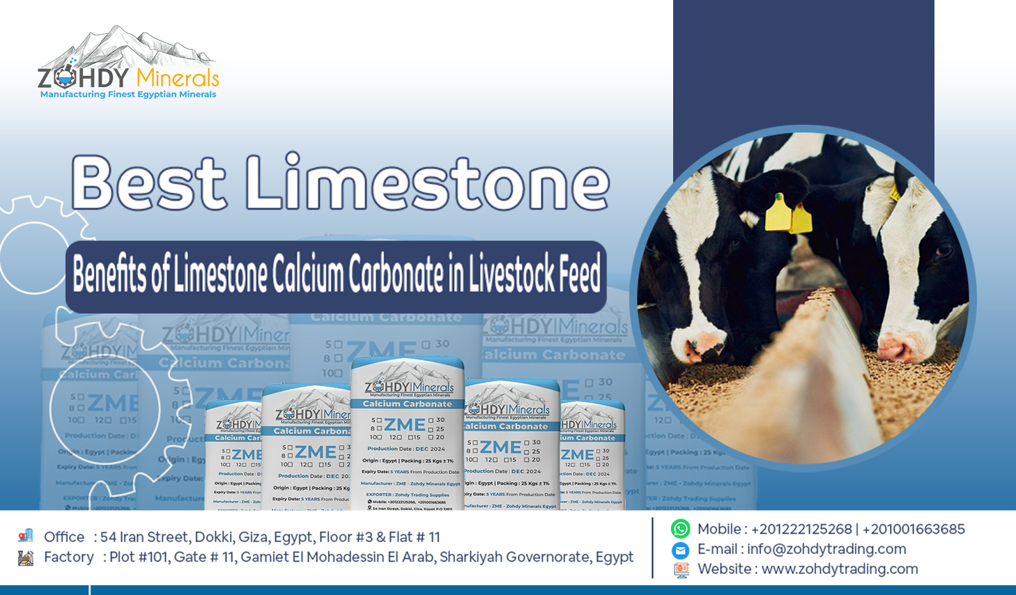 Limestone Calcium Carbonate for Livestock Feed Supplements 2 Benefits of Limestone Calcium Carbonate in Livestock Feed