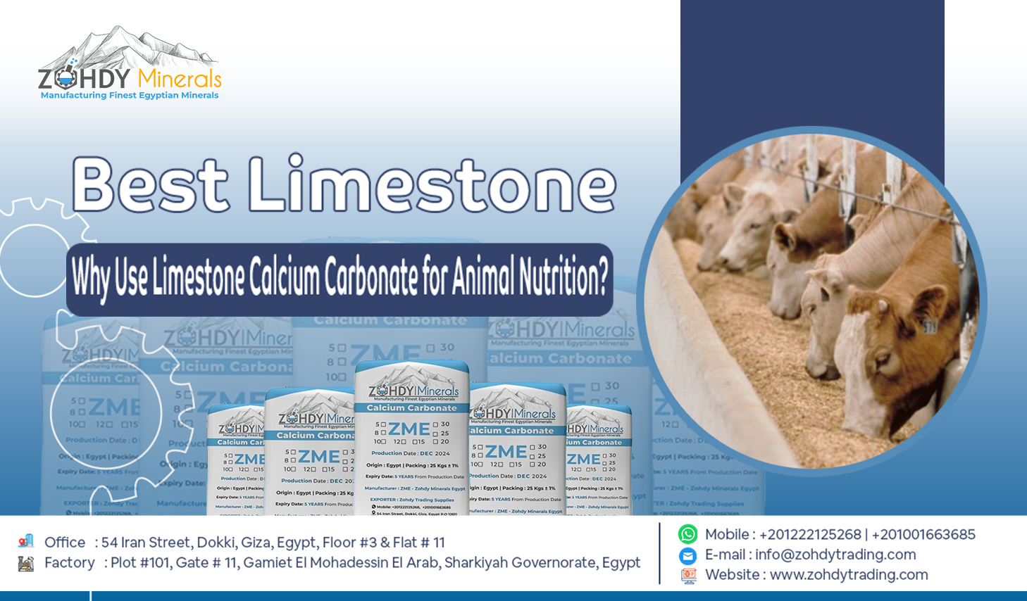 Limestone Calcium Carbonate for Livestock Feed Supplements 3 Why Use Limestone Calcium Carbonate for Animal Nutrition