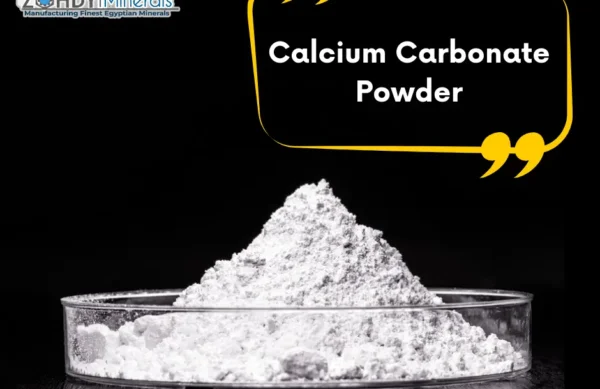 Calcium-Carbonate-Powder