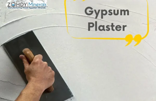 Gypsum-Plaster-Plaster-of-Paris