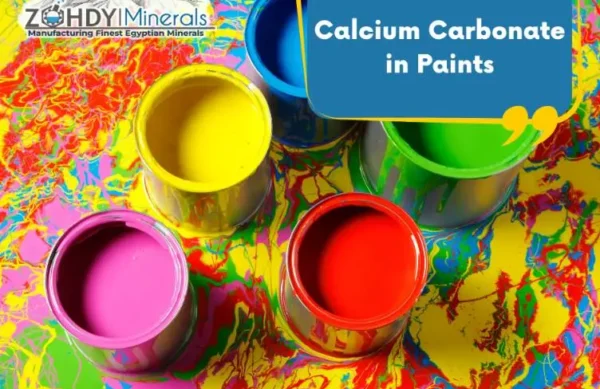 Calcium-Carbonate-in-Paints