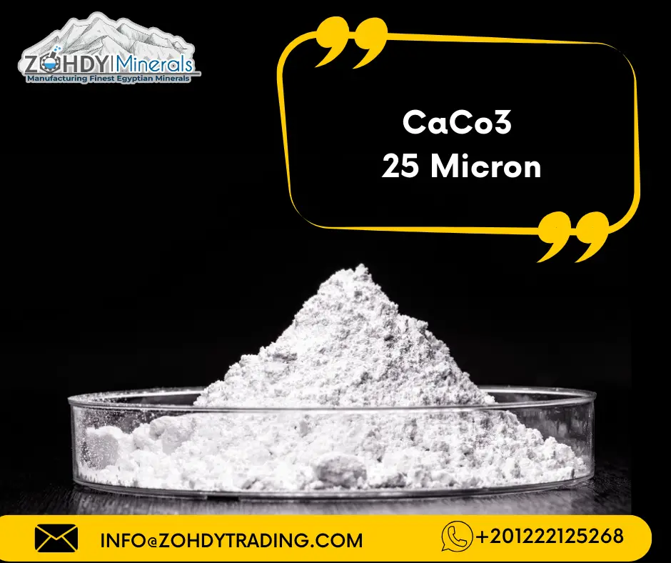 importance Calcium Carbonate Powder in 2024 6 Calcium Carbonate Powder 25 micron