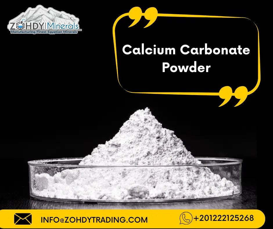 importance Calcium Carbonate Powder in 2024 2 Calcium Carbonate Powder