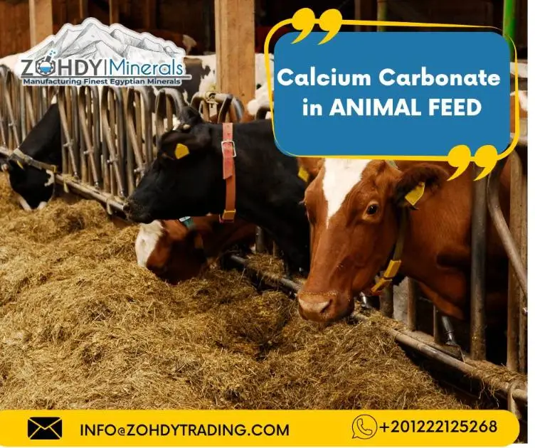 Calcium Carbonate in Animal Feed