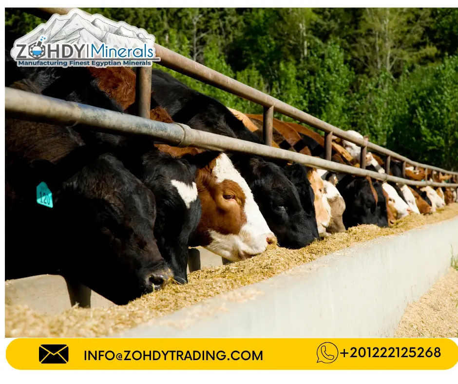 Limestone Granules Feed Grade 2-3 mm 4 Cattle feed