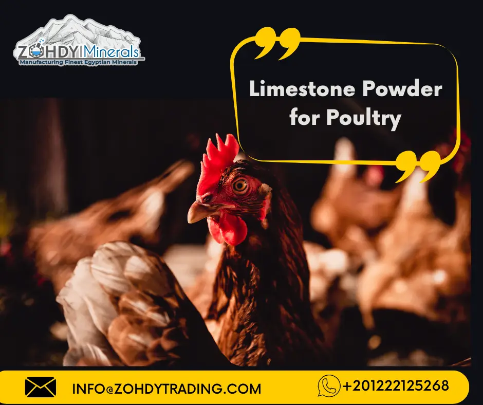 Limestone Powder 4 Limestone Powder