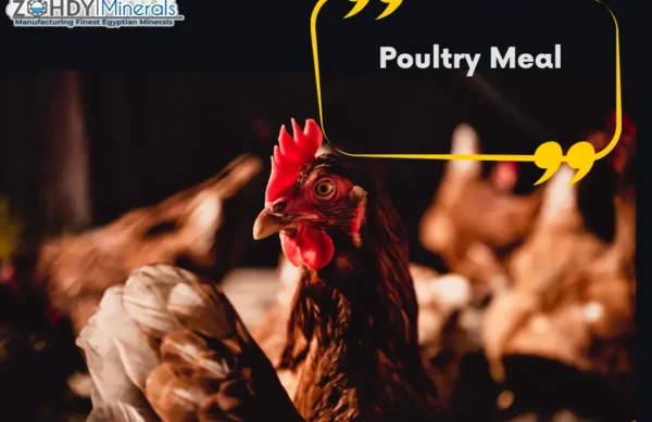 Poultry-Meal-zme