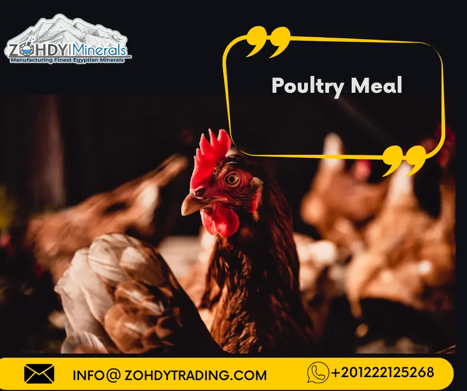 Poultry Meal Description,Benefits,Usage 2 Poultry-Meal-zme