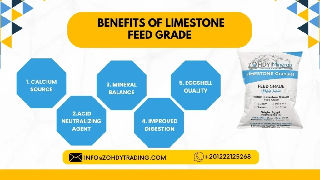 Best Limestone Feed Grade 2 Benefits of Limestone Feed Grade Zme