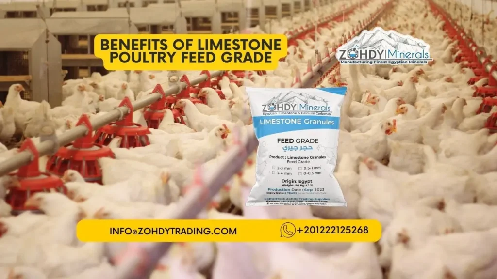 Know Best Limestone Poultry Feed Grade Today 2 Benefits of Limestone Poultry Feed Grade