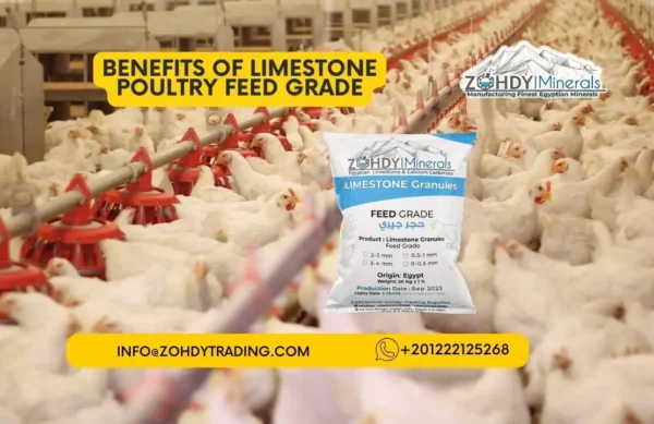 Benefits of Limestone Poultry Feed Grade