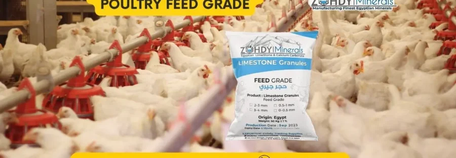 Know Best Limestone Poultry Feed Grade Today 1 Benefits of Limestone Poultry Feed Grade