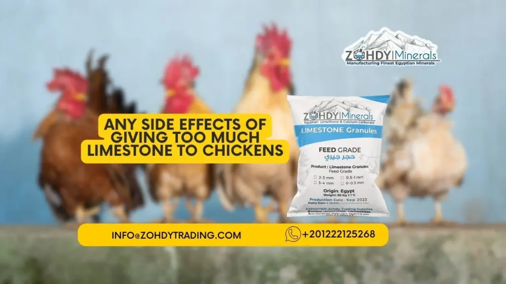 Know Best Limestone Poultry Feed Grade Today 4 any side effects of giving too much limestone to chickens