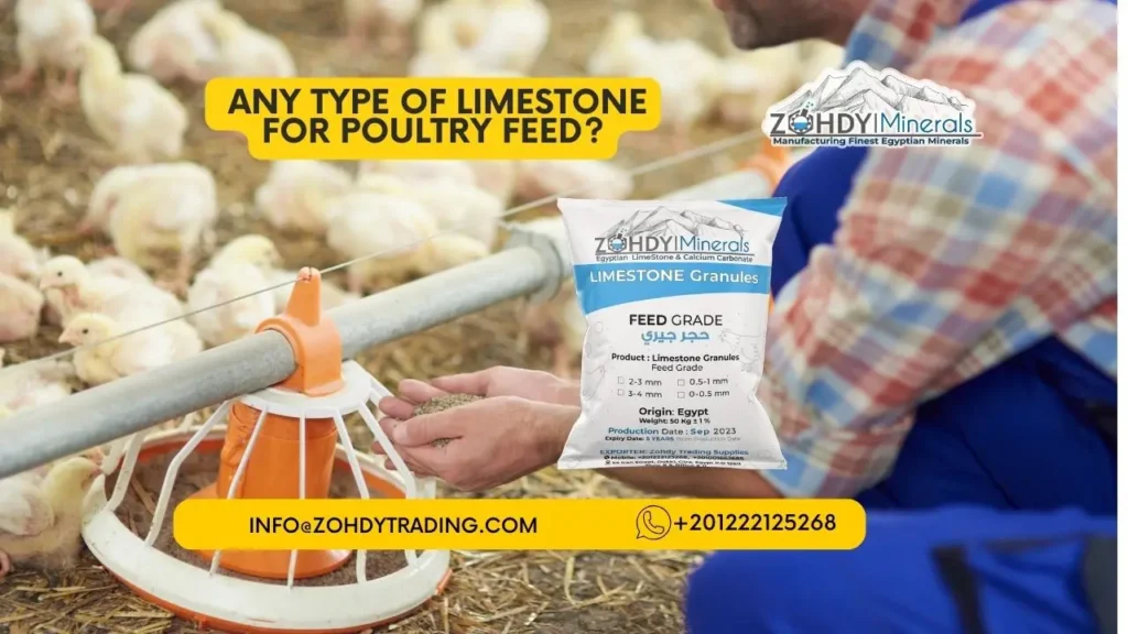 Know Best Limestone Poultry Feed Grade Today 3 any type of limestone for poultry feed 1