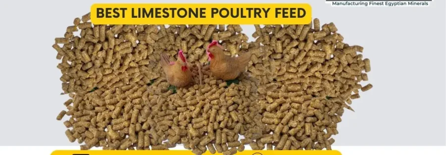 Best Limestone poultry feed 1 Limestone poultry feed ZME