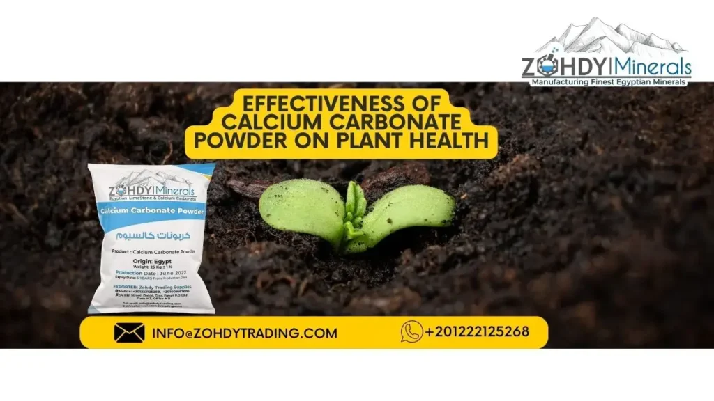 Effectiveness of Calcium Carbonate Powder on Plant Health