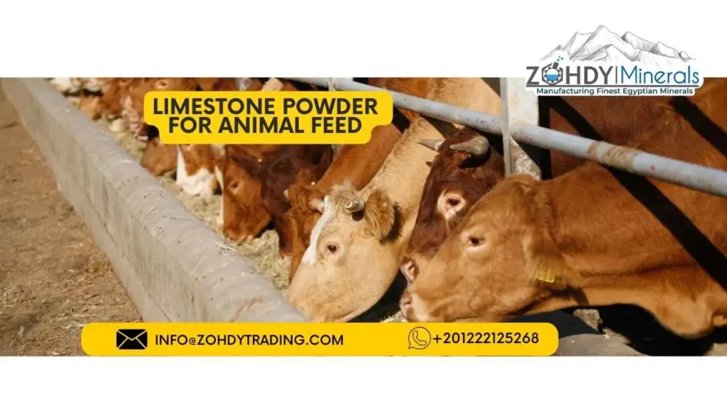 6 important points for Limestone powder uses 5 Limestone Powder uses for Animal Feed