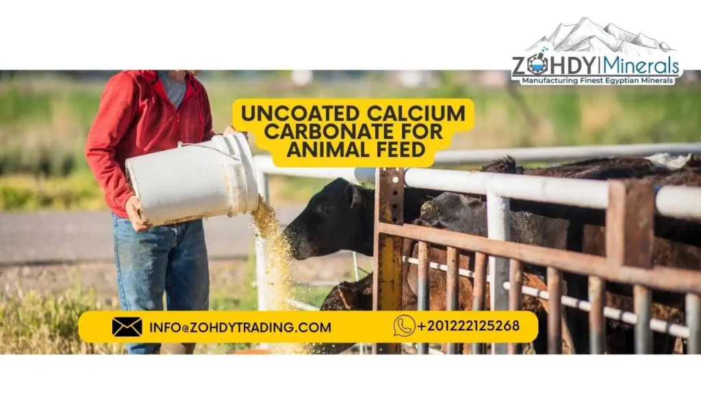 uncoated calcium carbonate uses 6 Uncoated Calcium Carbonate for animal feed