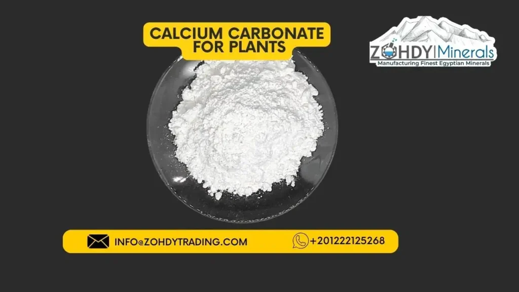 calcium carbonate for plants