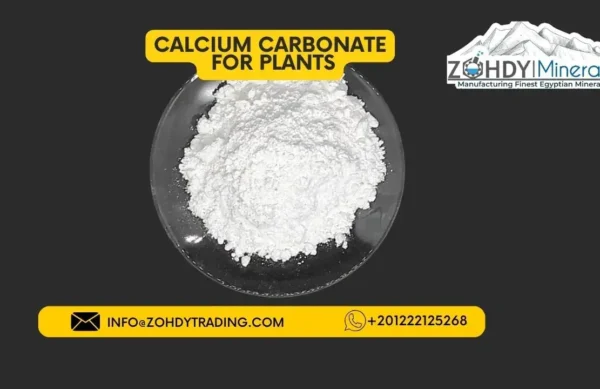 calcium carbonate powder