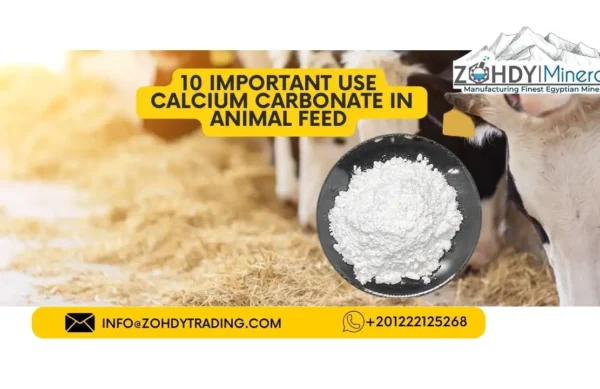 10 important uses Calcium Carbonate in Animal Feed