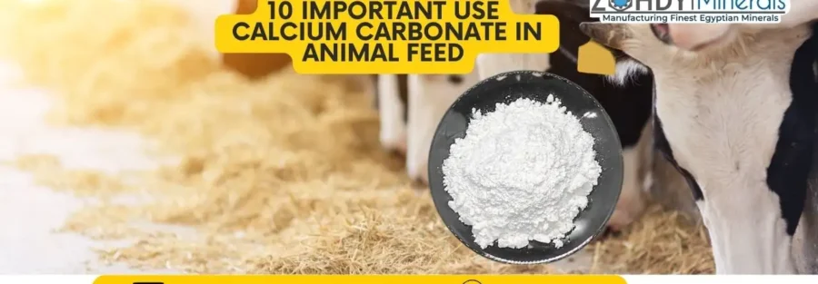 10 important uses Calcium Carbonate in Animal Feed
