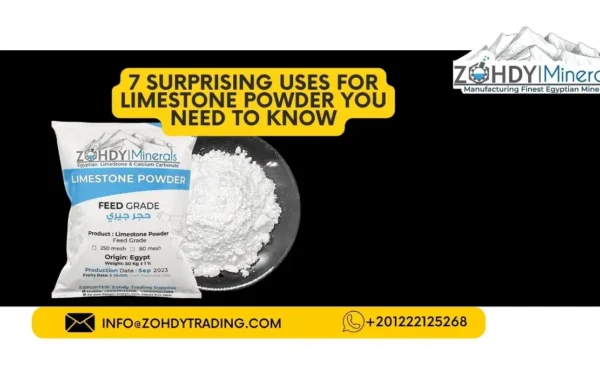 7 Surprising Uses for Limestone Powder You Need to Know