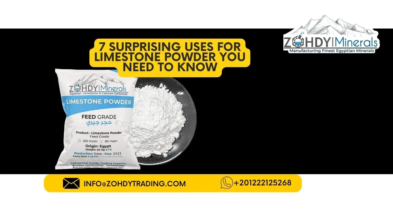 7 Surprising Uses for Limestone Powder You Need to Know 1 7 Surprising Uses for Limestone Powder You Need to Know