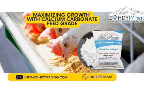 Maximizing Growth with Calcium Carbonate Feed Grade
