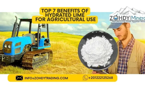 Top 7 Benefits of Hydrated Lime for Agricultural Use