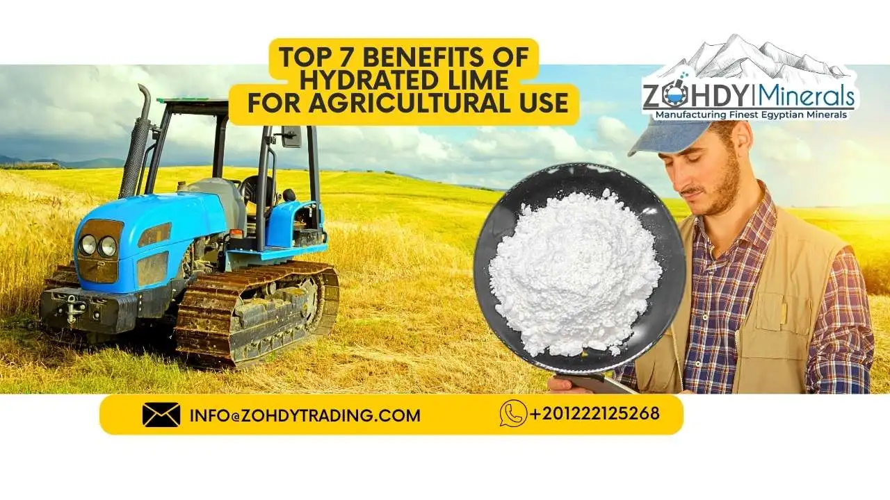 Top 7 Benefits of Hydrated Lime for Agricultural Use 1 Top 7 Benefits of Hydrated Lime for Agricultural Use