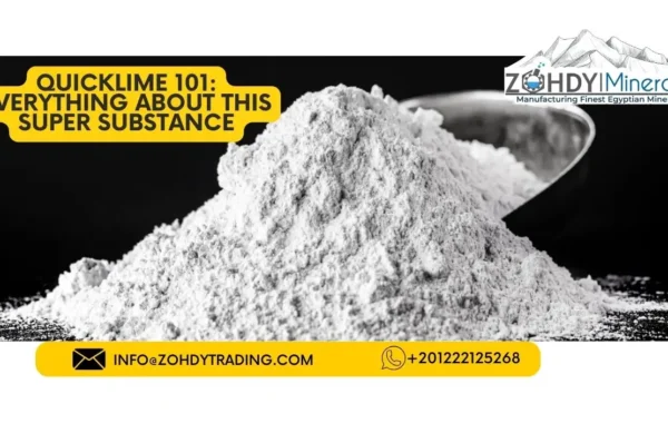 QuickLime 101: Everything About This Super Substance