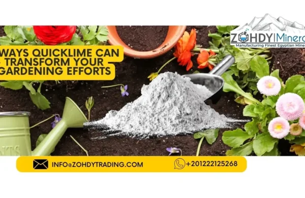 5 Ways QuickLime Can Transform Your Gardening Efforts