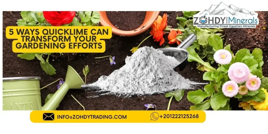 5 Ways QuickLime Can Transform Your Gardening Efforts 1 5 Ways QuickLime Can Transform Your Gardening Efforts