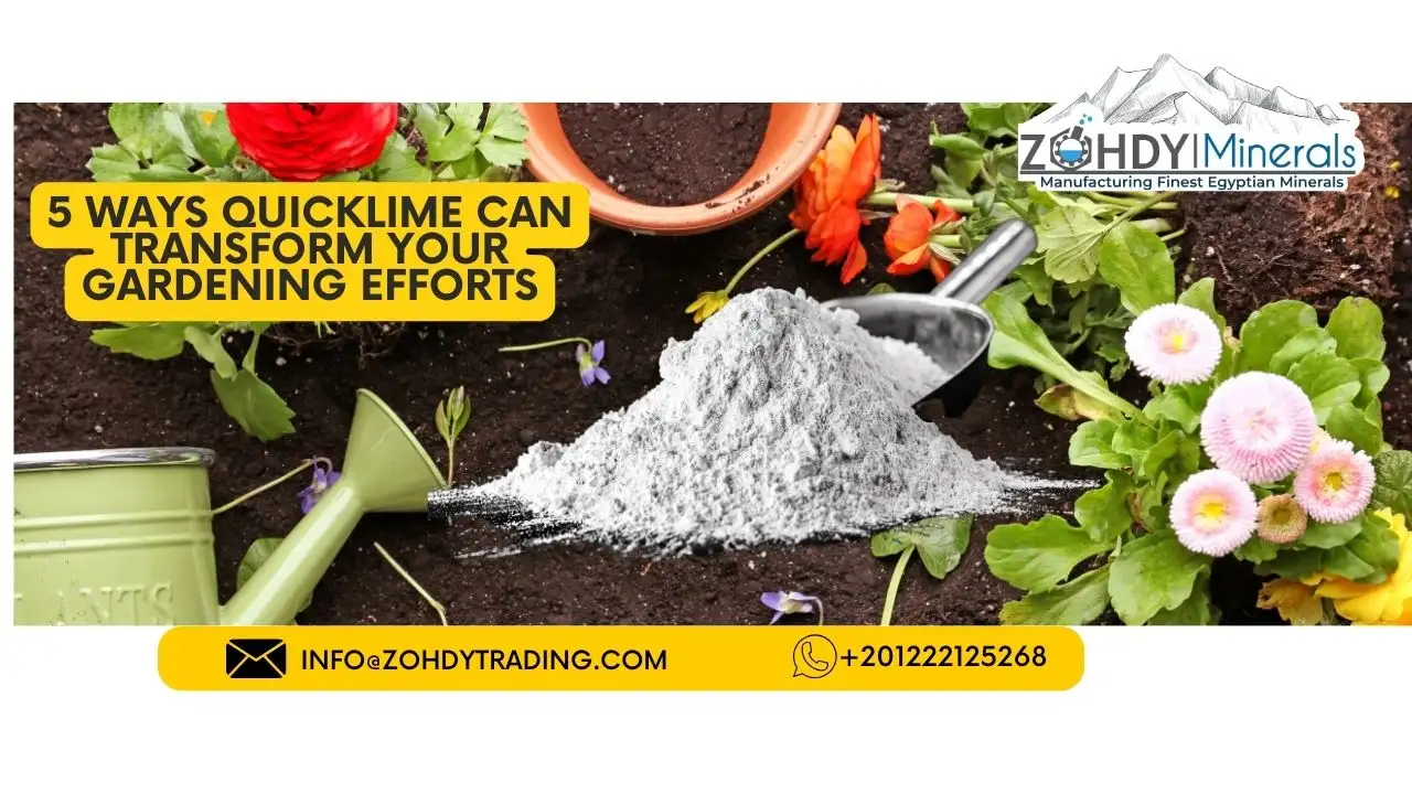5 Ways QuickLime Can Transform Your Gardening Efforts 2 5 Ways QuickLime Can Transform Your Gardening Efforts