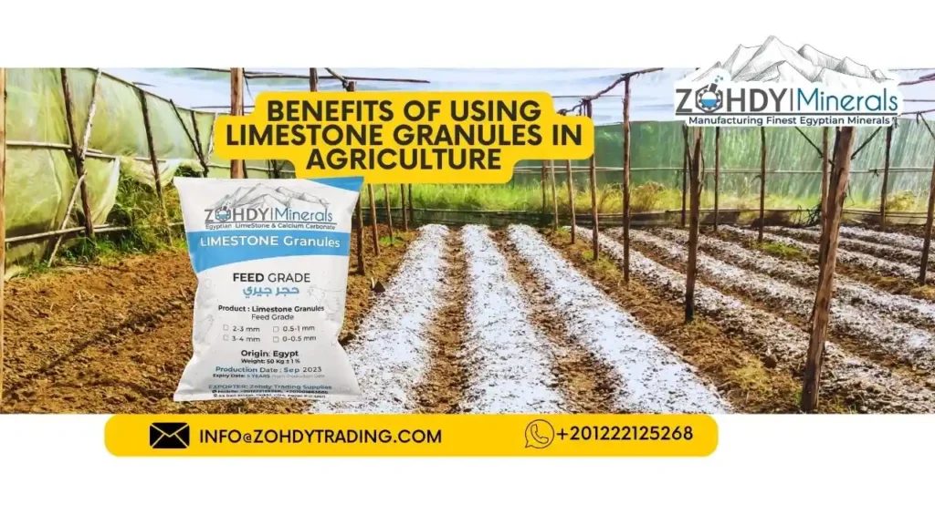 Benefits of Using Limestone Granules in Agriculture 2 Benefits of Using Limestone Granules in Agriculture 1