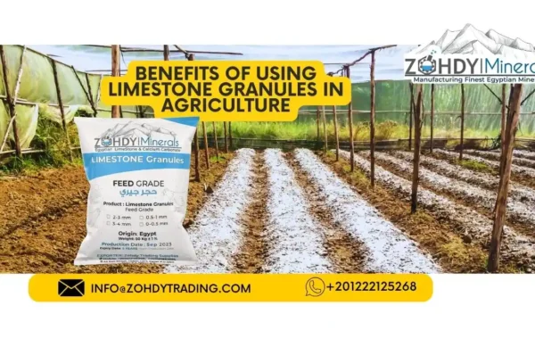 Benefits of Using Limestone Granules in Agriculture