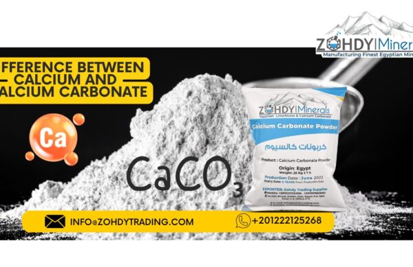 Difference between calcium and calcium carbonate