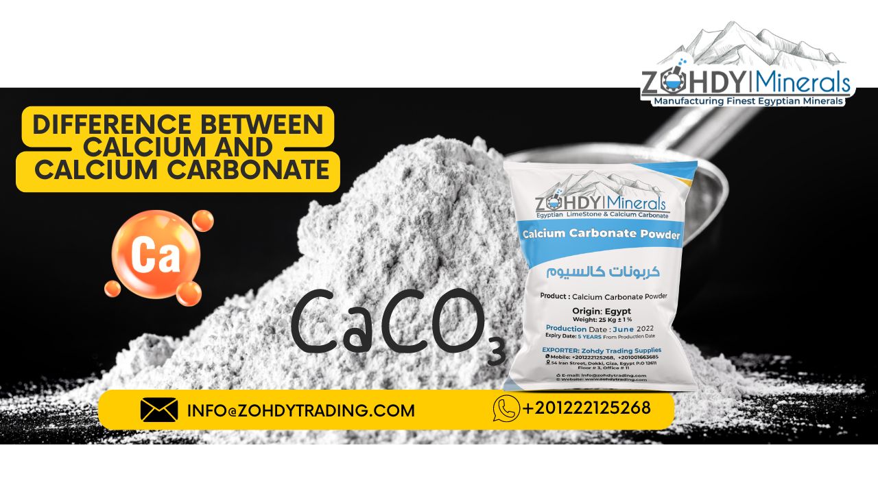 Difference between calcium and calcium carbonate 16 Difference between calcium and calcium carbonate