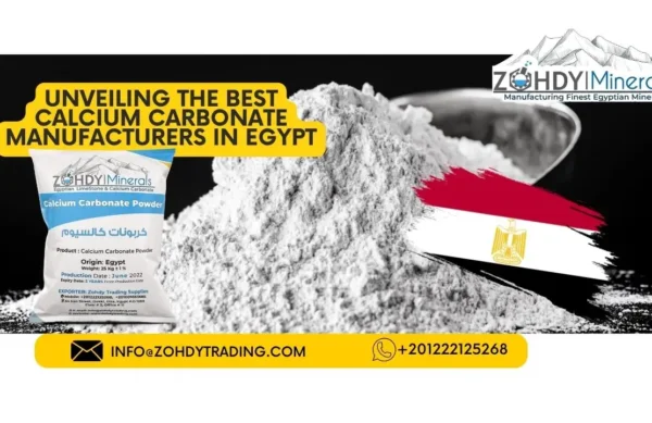 Unveiling the Best Calcium Carbonate Manufacturers in Egypt