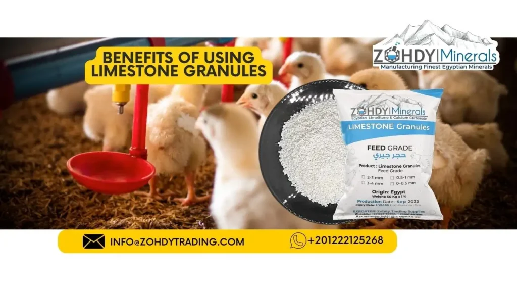 Is limestone granules good for animals? 3 Benefits of using limestone granules