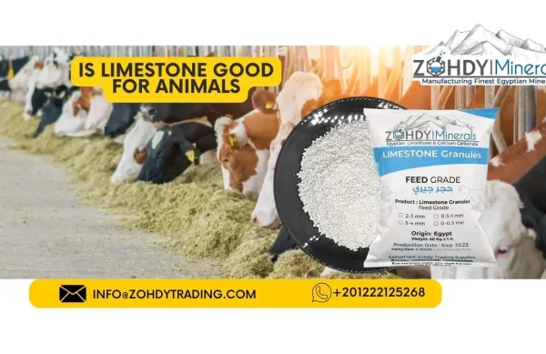 IS LIMESTONE Granules GOOD FOR ANIMALS
