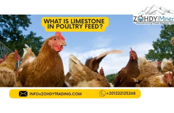 What is limestone in poultry feed?