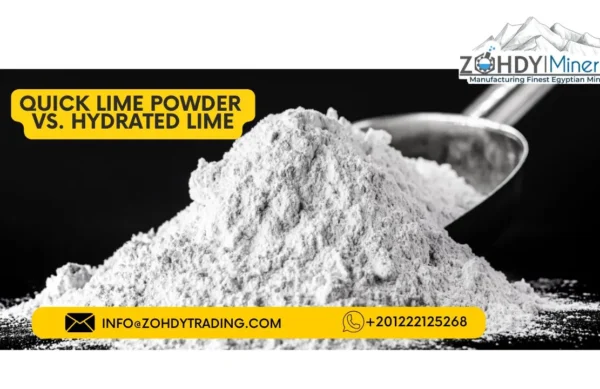 Quick Lime Powder vs. Hydrated Lime