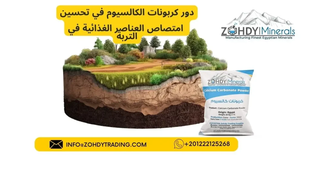 استخدامات كربونات الكالسيوم في الصناعة 3 دور كربونات الكالسيوم في تحسين امتصاص العناصر الغذائية في التربة