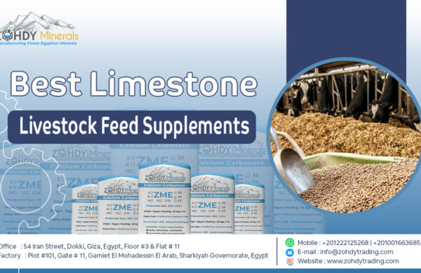 Limestone Calcium Carbonate for Livestock Feed Supplements