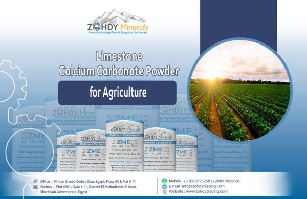 Limestone Calcium Carbonate Powder for Agriculture