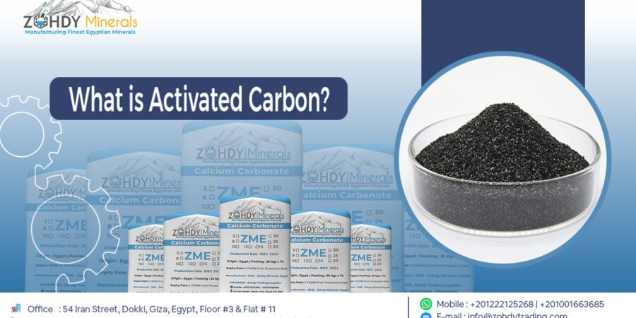 What is Activated Carbon? 1 What is Activated Carbon?