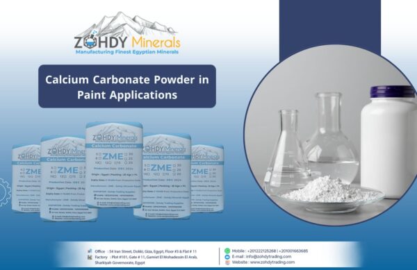 Calcium Carbonate Powder in Paint Applications