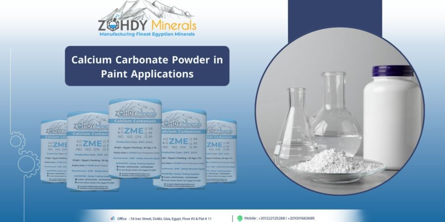 Calcium Carbonate Powder in Paint Applications
